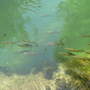 Krka Nationalpark