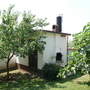der Garten